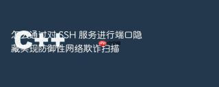 怎么通过对 ssh 服务进行端口隐藏实现防御性网络欺诈扫描