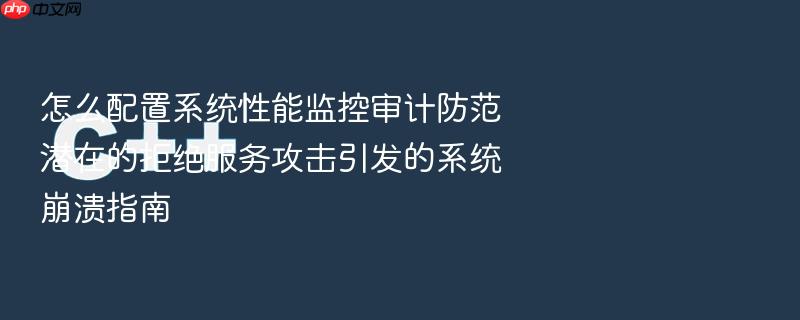 怎么配置系统性能监控审计防范潜在的拒绝服务攻击引发的系统崩溃指南