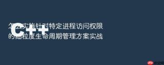 怎么实施针对特定进程访问权限的细粒度生命周期管理方案实战
