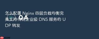 怎么配置 nginx 四层负载均衡完美支持传统企业级 dns 服务的 udp 转发