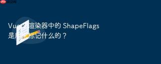 Vue 3 渲染器中的 ShapeFlags 是用来标记什么的？