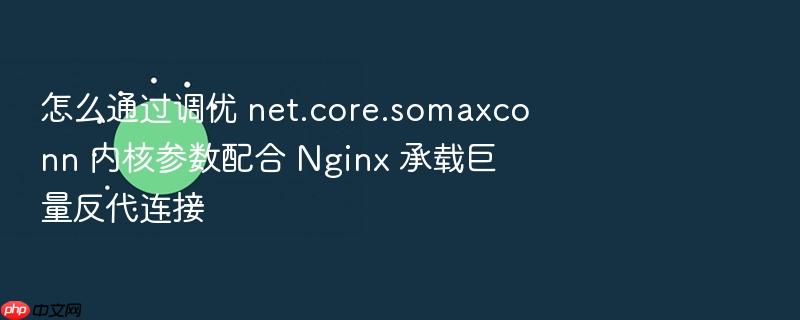 怎么通过调优 net.core.somaxconn 内核参数配合 nginx 承载巨量反代连接