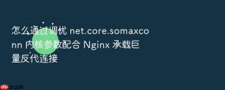 怎么通过调优 net.core.somaxconn 内核参数配合 nginx 承载巨量反代连接