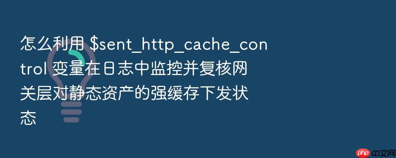 怎么利用 $sent_http_cache_control 变量在日志中监控并复核网关层对静态资产的强缓存下发状态