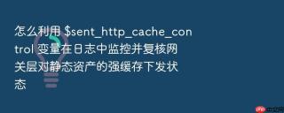 怎么利用 $sent_http_cache_control 变量在日志中监控并复核网关层对静态资产的强缓存下发状态