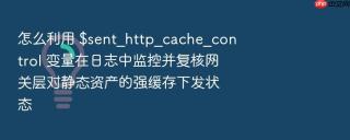 怎么利用 $sent_http_cache_control 变量在日志中监控并复核网关层对静态资产的强缓存下发状态