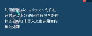 如何配置 aio_write on 允许在开启异步 I/O 的同时将包含路径状态码的日志写入交由非阻塞内核池处理