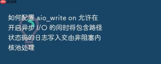 如何配置 aio_write on 允许在开启异步 i/o 的同时将包含路径状态码的日志写入交由非阻塞内核池处理