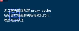 怎么解决前端配置 proxy_cache 后因客户端强制刷新导致反向代理层缓存穿透