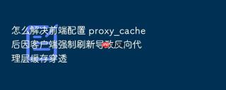 怎么解决前端配置 proxy_cache 后因客户端强制刷新导致反向代理层缓存穿透
