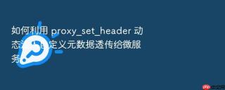 如何利用 proxy_set_header 动态注入自定义元数据透传给微服务