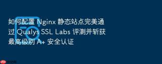如何配置 nginx 静态站点完美通过 qualys ssl labs 评测并斩获最高级别 a+ 安全认证