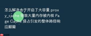 怎么解决由于开启了大容量 proxy_cache 导致大量内存被内核 page cache 侵占引发的整体路径响应颠簸