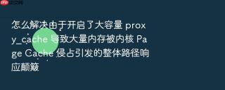 怎么解决由于开启了大容量 proxy_cache 导致大量内存被内核 Page Cache 侵占引发的整体路径响应颠簸