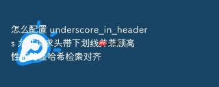 怎么配置 underscore_in_headers 允许请求头带下划线并兼顾高性能路径哈希检索对齐