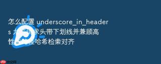 怎么配置 underscore_in_headers 允许请求头带下划线并兼顾高性能路径哈希检索对齐