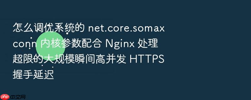 怎么调优系统的 net.core.somaxconn 内核参数配合 nginx 处理超限的大规模瞬间高并发 https 握手延迟