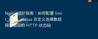 Nginx 进阶指南：如何配置 limit_conn_status 自定义连接数超限时返回的 HTTP 状态码