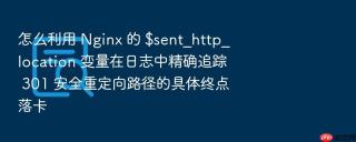 怎么利用 nginx 的 $sent_http_location 变量在日志中精确追踪 301 安全重定向路径的具体终点落卡