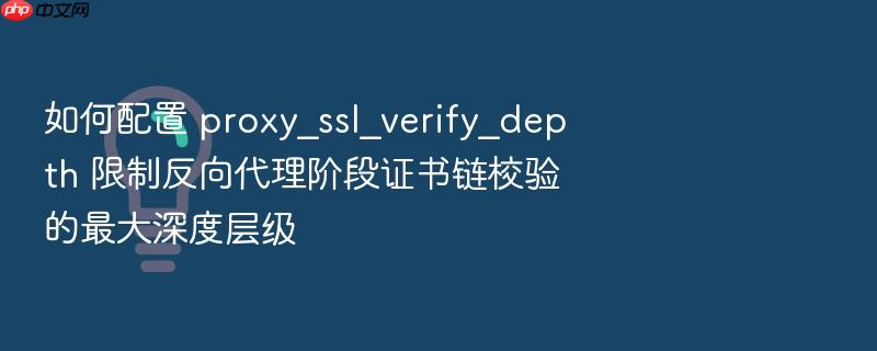 如何配置 proxy_ssl_verify_depth 限制反向代理阶段证书链校验的最大深度层级
