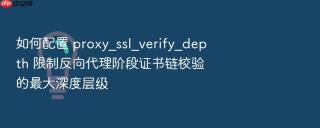 如何配置 proxy_ssl_verify_depth 限制反向代理阶段证书链校验的最大深度层级