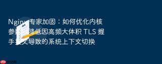 nginx 专家加固:如何优化内核参数以降低因高频大体积 tls 握手报文导致的系统上下文切换