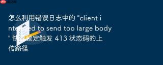 怎么利用错误日志中的 \