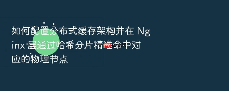 如何配置分布式缓存架构并在 nginx 层通过哈希分片精准命中对应的物理节点