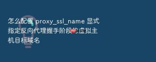 怎么配置 proxy_ssl_name 显式指定反向代理握手阶段的虚拟主机目标域名