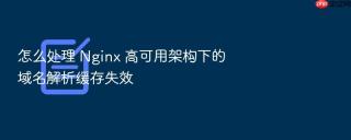 怎么处理 nginx 高可用架构下的域名解析缓存失效
