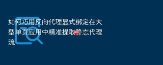 如何巧用反向代理显式绑定在大型单页应用中精准提取静态代理流