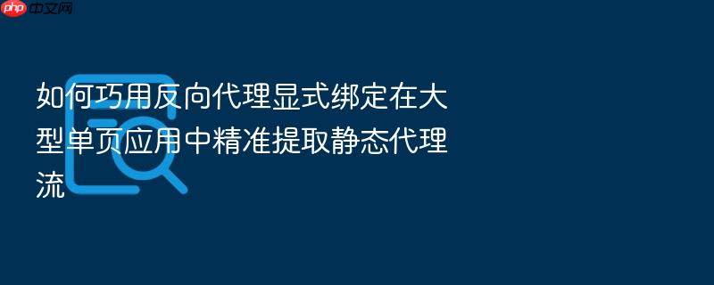 如何巧用反向代理显式绑定在大型单页应用中精准提取静态代理流