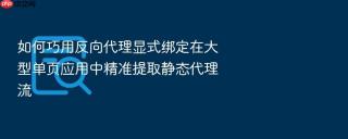 如何巧用反向代理显式绑定在大型单页应用中精准提取静态代理流