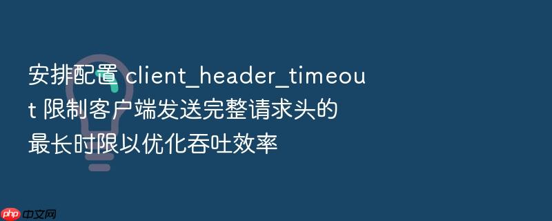 安排配置 client_header_timeout 限制客户端发送完整请求头的最长时限以优化吞吐效率