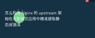 怎么利用 nginx 的 upstream 架构在大型单页应用中精准提取静态资源流