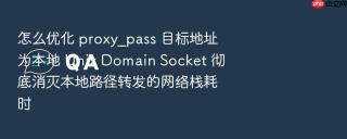 怎么优化 proxy_pass 目标地址为本地 Unix Domain Socket 彻底消灭本地路径转发的网络栈耗时
