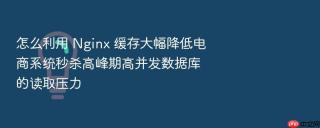 怎么利用 Nginx 缓存大幅降低电商系统秒杀高峰期高并发数据库的读取压力