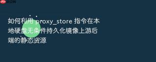 如何利用 proxy_store 指令在本地硬盘无条件持久化镜像上游后端的静态资源