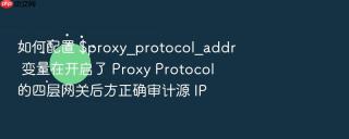 如何配置 $proxy_protocol_addr 变量在开启了 Proxy Protocol 的四层网关后方正确审计源 IP