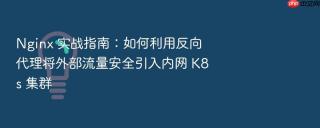 Nginx 实战指南：如何利用反向代理将外部流量安全引入内网 K8s 集群