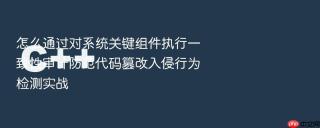 怎么通过对系统关键组件执行一致性审计防范代码篡改入侵行为检测实战