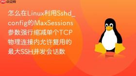 怎么在Linux利用Sshd_config的MaxSessions参数强行缩减单个TCP物理连接内允许复用的最大SSH并发会话数
