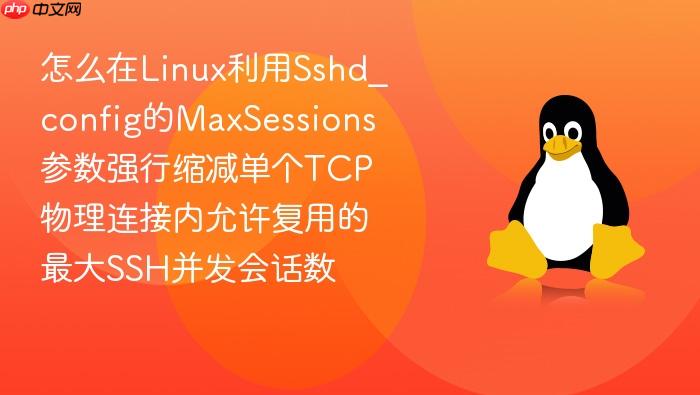 怎么在linux利用sshd_config的maxsessions参数强行缩减单个tcp物理连接内允许复用的最大ssh并发会话数