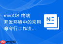 macOS 终端开发环境中的常用命令行工作流设计