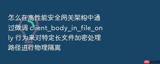 怎么在高性能安全网关架构中通过微调 client_body_in_file_only 行为来对特定长文件加密处理路径进行物理隔离