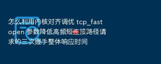 怎么利用内核对齐调优 tcp_fastopen 参数降低高频短连接路径请求的三次握手整体响应时间