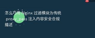 怎么巧用 nginx 过滤模块为传统 proxy_pass 注入内容安全合规描述