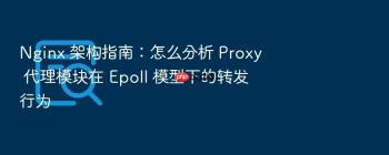 Nginx 架构指南：怎么分析 Proxy 代理模块在 Epoll 模型下的转发行为