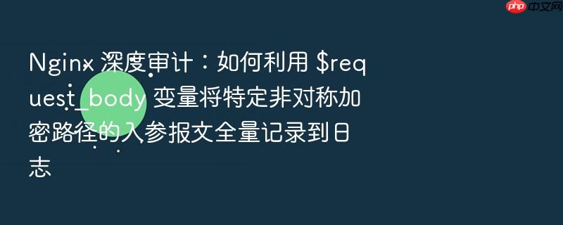 nginx 深度审计:如何利用 $request_body 变量将特定非对称加密路径的入参报文全量记录到日志