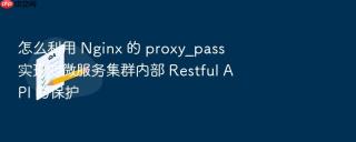 怎么利用 Nginx 的 proxy_pass 实现对微服务集群内部 Restful API 的保护